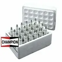 CHAMPION SPARK PLUGS 24 PACK-J19LM 861S